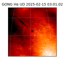 gong - 2025-02-15T03:01:02