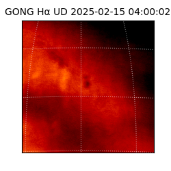 gong - 2025-02-15T04:00:02