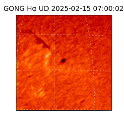 gong - 2025-02-15T07:00:02