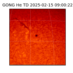 gong - 2025-02-15T09:00:22