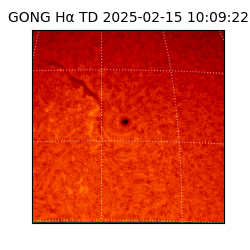 gong - 2025-02-15T10:09:22