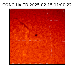 gong - 2025-02-15T11:00:22