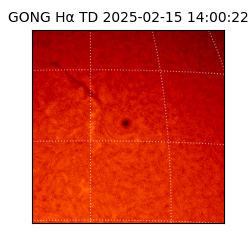 gong - 2025-02-15T14:00:22
