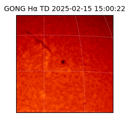 gong - 2025-02-15T15:00:22