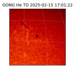 gong - 2025-02-15T17:01:22