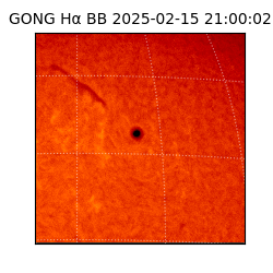 gong - 2025-02-15T21:00:02