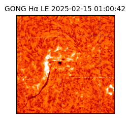 gong - 2025-02-15T01:00:42