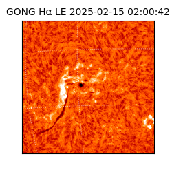 gong - 2025-02-15T02:00:42