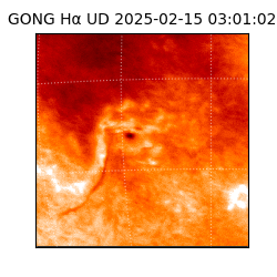 gong - 2025-02-15T03:01:02