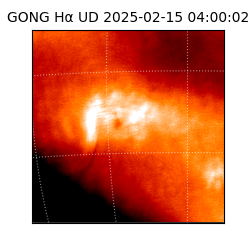 gong - 2025-02-15T04:00:02