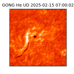 gong - 2025-02-15T07:00:02