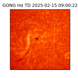 gong - 2025-02-15T09:00:22