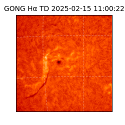 gong - 2025-02-15T11:00:22