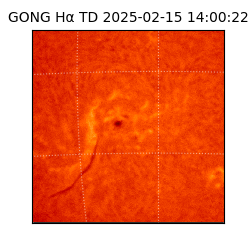 gong - 2025-02-15T14:00:22