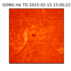 gong - 2025-02-15T15:00:22