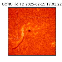 gong - 2025-02-15T17:01:22
