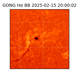 gong - 2025-02-15T20:00:02