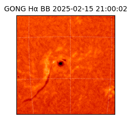 gong - 2025-02-15T21:00:02