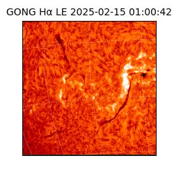 gong - 2025-02-15T01:00:42