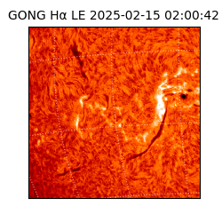 gong - 2025-02-15T02:00:42