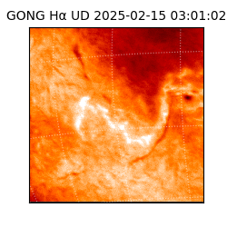 gong - 2025-02-15T03:01:02
