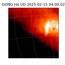 gong - 2025-02-15T04:00:02