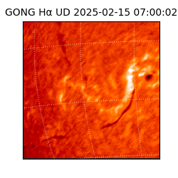 gong - 2025-02-15T07:00:02