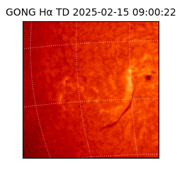 gong - 2025-02-15T09:00:22