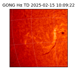 gong - 2025-02-15T10:09:22