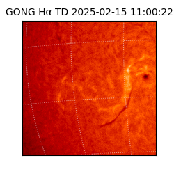 gong - 2025-02-15T11:00:22