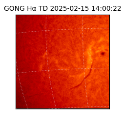 gong - 2025-02-15T14:00:22