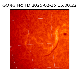 gong - 2025-02-15T15:00:22