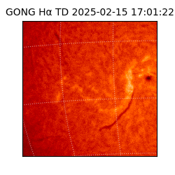 gong - 2025-02-15T17:01:22