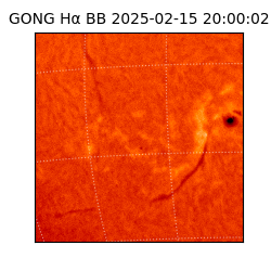 gong - 2025-02-15T20:00:02