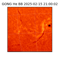 gong - 2025-02-15T21:00:02