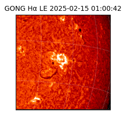 gong - 2025-02-15T01:00:42