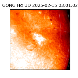 gong - 2025-02-15T03:01:02