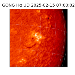 gong - 2025-02-15T07:00:02