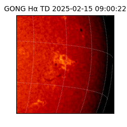 gong - 2025-02-15T09:00:22