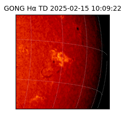 gong - 2025-02-15T10:09:22