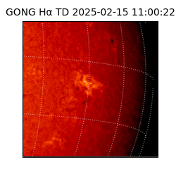 gong - 2025-02-15T11:00:22