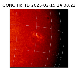 gong - 2025-02-15T14:00:22