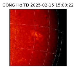 gong - 2025-02-15T15:00:22