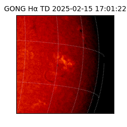 gong - 2025-02-15T17:01:22