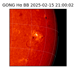 gong - 2025-02-15T21:00:02