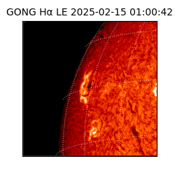 gong - 2025-02-15T01:00:42