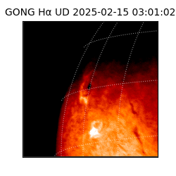 gong - 2025-02-15T03:01:02