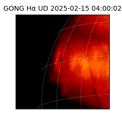 gong - 2025-02-15T04:00:02