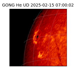 gong - 2025-02-15T07:00:02