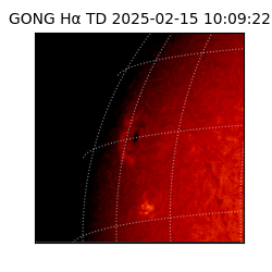 gong - 2025-02-15T10:09:22